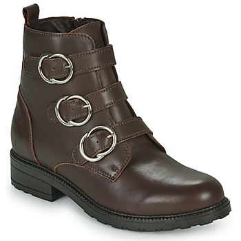 Schoenen Dames Laarzen Betty London FOXXI Brown