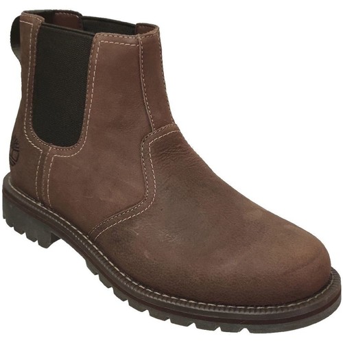 Schoenen Heren Laarzen Timberland Larchmont chelsea Brown