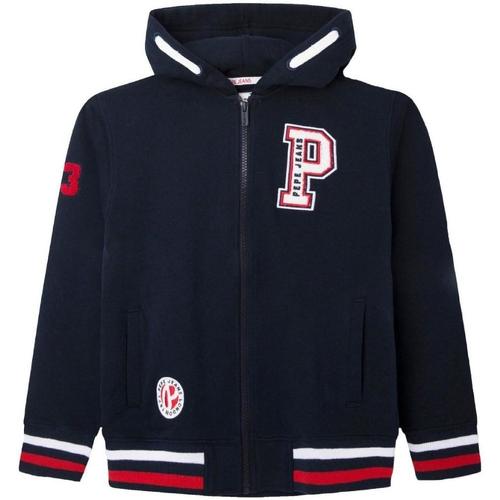 Textiel Jongens Sweaters / Sweatshirts Pepe jeans  Blauw