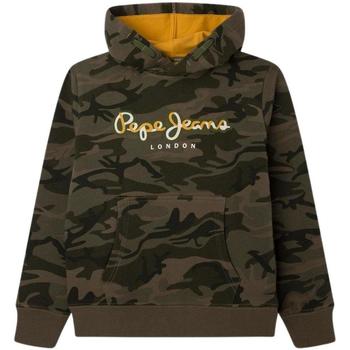 Textiel Jongens Sweaters / Sweatshirts Pepe jeans  Multicolour