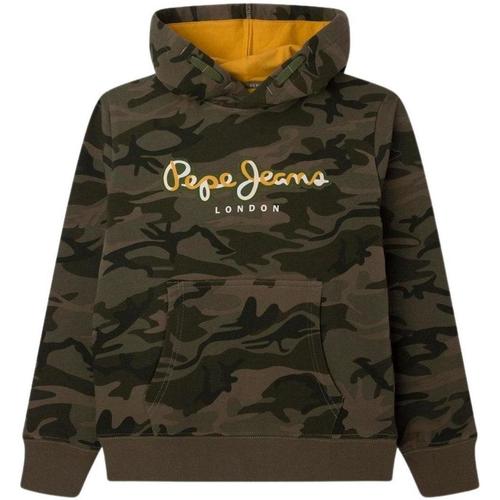 Textiel Jongens Sweaters / Sweatshirts Pepe jeans  Multicolour