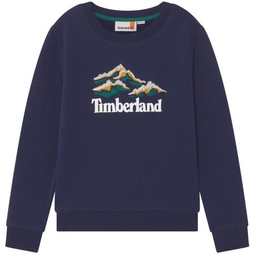 Textiel Jongens Sweaters / Sweatshirts Timberland  Blauw