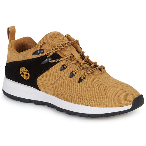 Schoenen Heren Lage sneakers Timberland SPRINT TREKR LOW KNIT Brown / Zwart / Wit