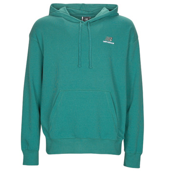 Textiel Sweaters / Sweatshirts New Balance Uni-ssentials French Terry Hoodie Groen