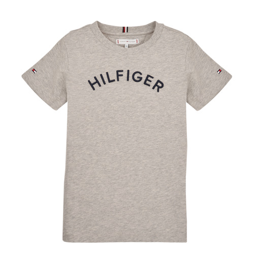 Textiel Kinderen T-shirts korte mouwen Tommy Hilfiger U HILFIGER ARCHED TEE Grijs