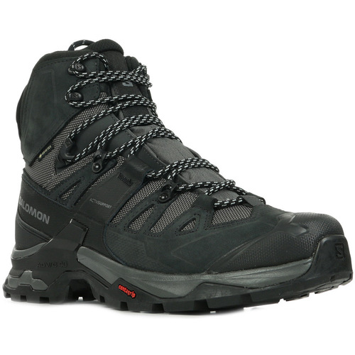 Schoenen Heren Wandelschoenen Salomon Quest 4 Gtx Zwart