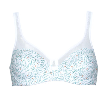 Ondergoed Dames Grote maten DIM GENEROUS COTON BIO Multicolour