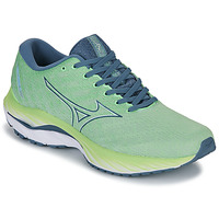 Schoenen Heren Running / trail Mizuno WAVE INSPIRE 19 Groen