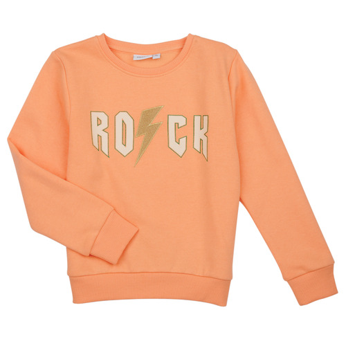 Textiel Meisjes Sweaters / Sweatshirts Name it NKFLOFFINA LS SWE BRU PS Orange