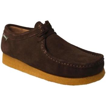 Schoenen Heren Derby & Klassiek Sebago  Brown