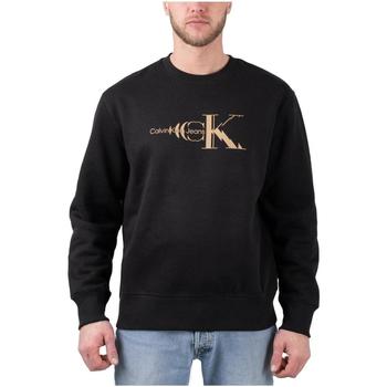 Textiel Heren Sweaters / Sweatshirts Calvin Klein Jeans  Zwart