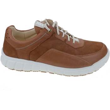 Schoenen Heren Sneakers Ganter Evo Brown