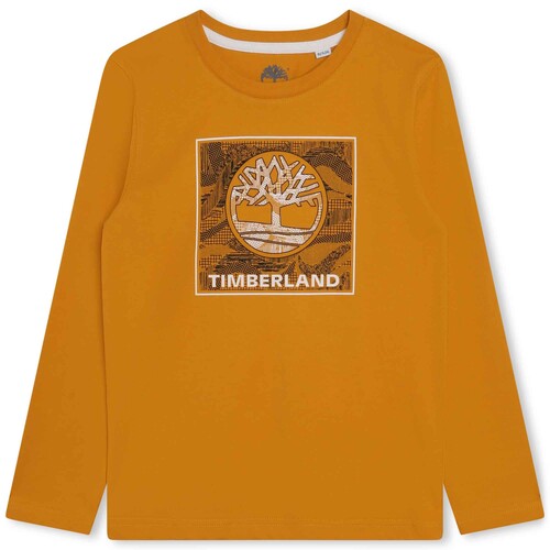 Textiel Jongens T-shirts korte mouwen Timberland T25U36-575-J Geel