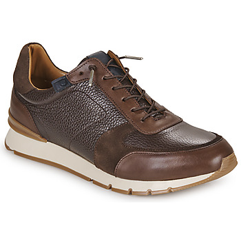 Schoenen Heren Lage sneakers Pellet MIKE Mix / Chocolade