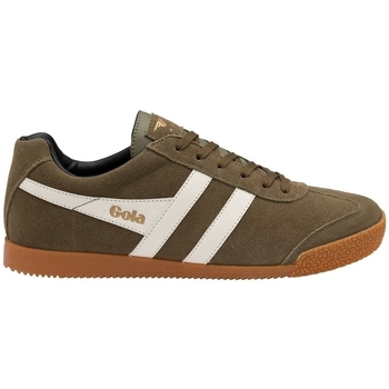 Schoenen Heren Sneakers Gola HARRIER SUEDE Groen