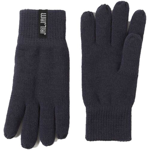 Accessoires Heren Handschoenen Jail Jam Bratan Blauw