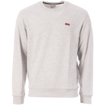 Textiel Heren Sweaters / Sweatshirts Guess  Grijs