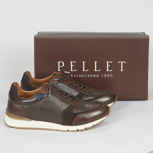 Schoenen Heren Lage sneakers Pellet MIKE Mix / Chocolade