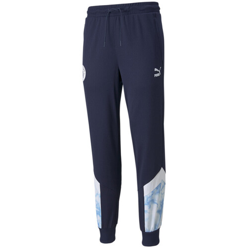 Textiel Heren Trainingsbroeken Puma  Blauw