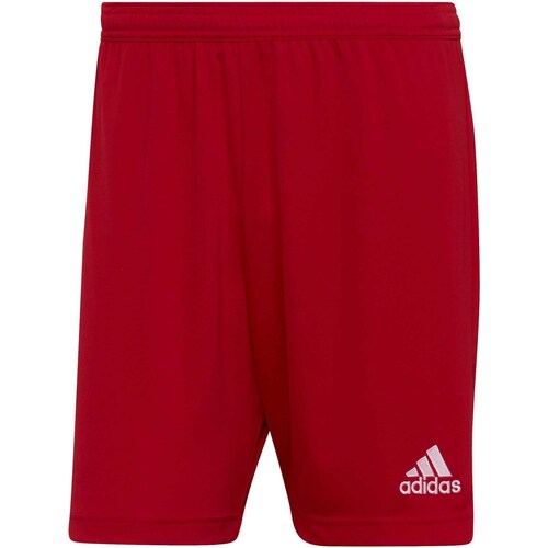 Textiel Heren Korte broeken / Bermuda's adidas Originals Ent22 Sho Rood