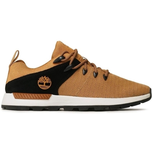 Schoenen Heren Derby Timberland SPRINT TREKR LOW KNIT Geel