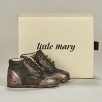 Schoenen Meisjes Laarzen Little Mary EMMY Brown