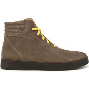 Schoenen Heren Laarzen Duca Di Morrone Tommaso - Suede Taupe Brown