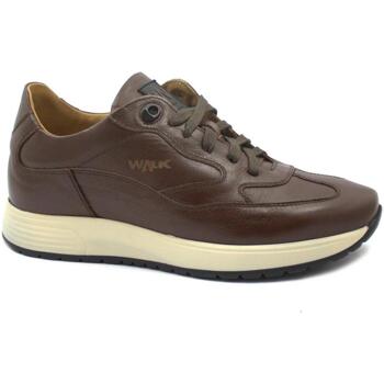 Schoenen Heren Lage sneakers Melluso MEL-I23-U16252D-CA Brown