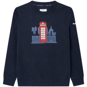 Textiel Jongens Sweaters / Sweatshirts Pepe jeans  Blauw