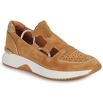 Schoenen Dames Lage sneakers Mam'Zelle CLOCK  camel