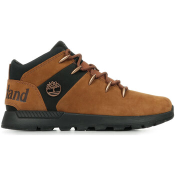 Schoenen Heren Laarzen Timberland Sprint Trekker Lace Up Brown