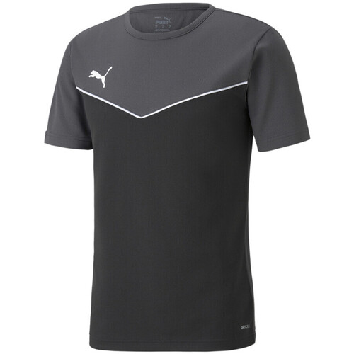 Textiel Heren T-shirts & Polo’s Puma  Zwart