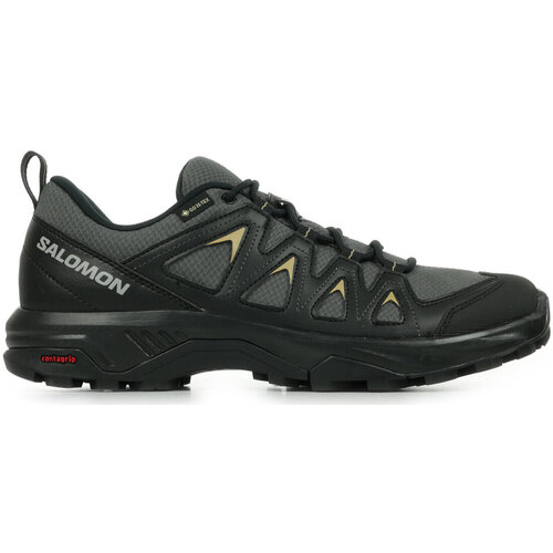 Schoenen Heren Running / trail Salomon X Braze Gtx Zwart