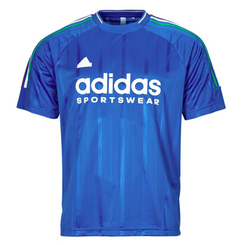 Textiel Heren T-shirts korte mouwen Adidas Sportswear House of Tiro Nations Pack T-Shirt Blauw