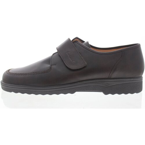 Schoenen Heren Sneakers Ganter Eric G Brown