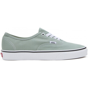 Schoenen Skateschoenen Vans Authentic Groen