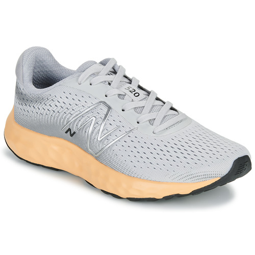 Schoenen Dames Running / trail New Balance 520 Grijs / Corail