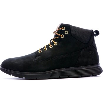 Schoenen Heren Hoge sneakers Timberland  Zwart