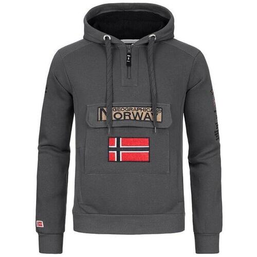 Textiel Heren Sweaters / Sweatshirts Geographical Norway  Grijs