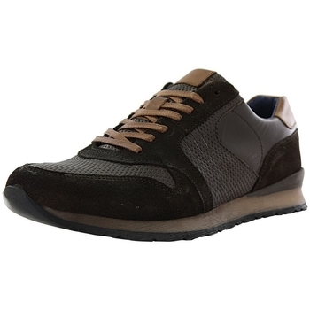 Schoenen Heren Sneakers Santafe NEW MAGIC Brown