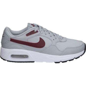 Schoenen Heren Allround Nike CW4555-016 Grijs