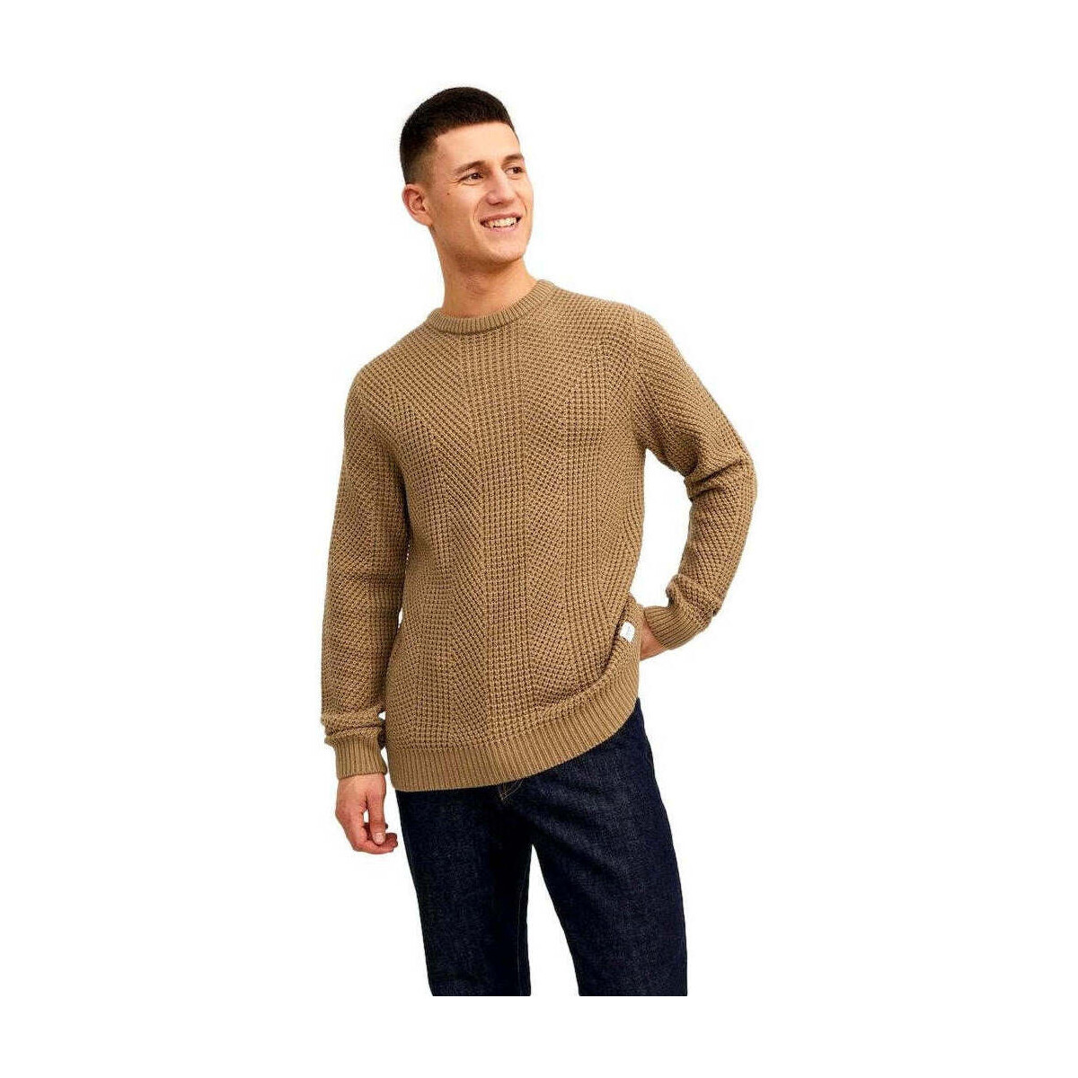 Textiel Heren Truien Jack & Jones  Beige