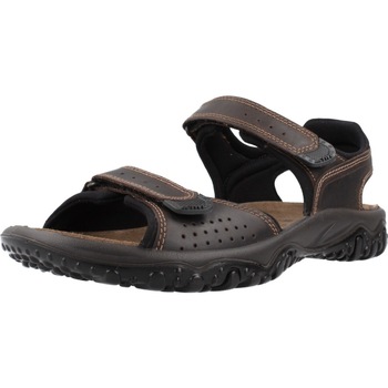 Schoenen Heren Sandalen / Open schoenen Imac PACIFIC Brown