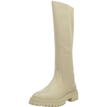 Schoenen Dames Laarzen Geox D IRIDEA Beige