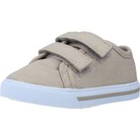 Schoenen Jongens Sneakers Chicco GABBIANO Beige