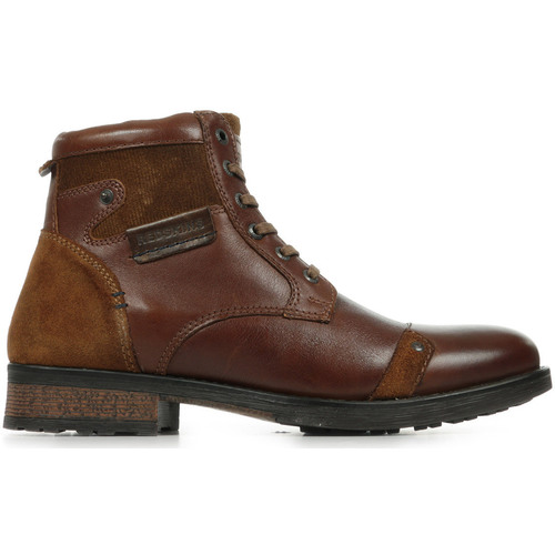 Schoenen Heren Laarzen Redskins Nitro 2 Brown