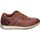 Schoenen Heren Derby & Klassiek Xti 143214 Brown