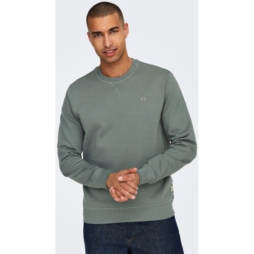 Textiel Heren Sweaters / Sweatshirts Only & Sons  22030384 DAN Groen