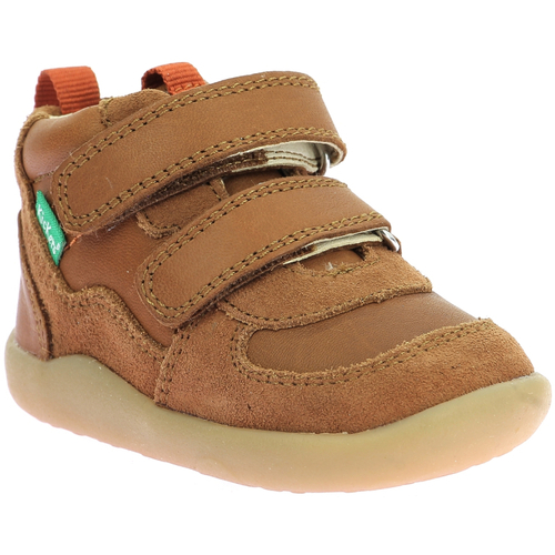 Schoenen Jongens Hoge sneakers Kickers Kickfresho Brown