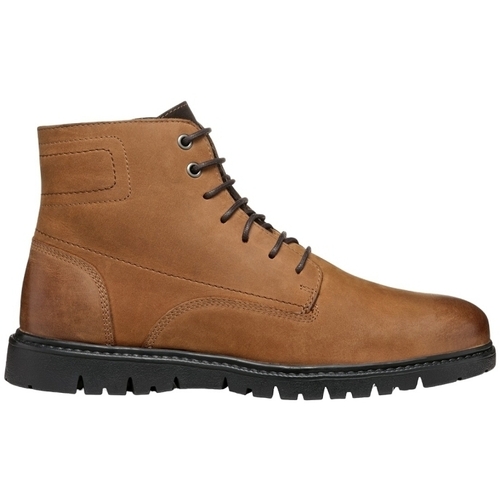 Schoenen Heren Laarzen Geox U GHIACCIAIO Brown